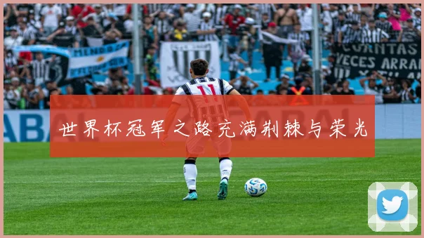 世界杯冠军之路充满荆棘与荣光