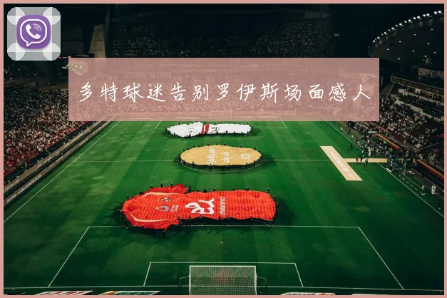 多特球迷告别罗伊斯场面感人